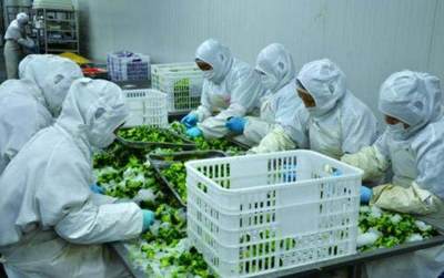 明确目标，把握机遇 国家500万补贴助力农产品加工发展