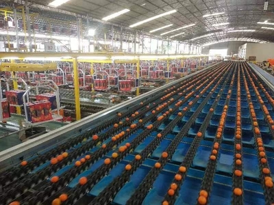 西乡塘 支部联建共谋产业发展 科技引领助推乡村振兴