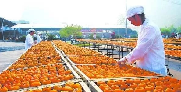 火速收藏！2018年农业项目补贴申报指南出炉！——聚焦农产品加工领域