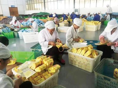 保山市农产品加工业 迈上高质量发展新台阶