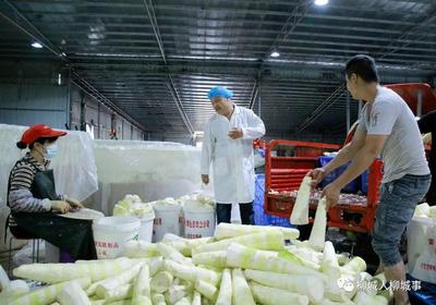 东泉之名探源及其农产品加工产业发展