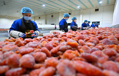 眉山仁寿 发展农产品加工 助力农民增收致富