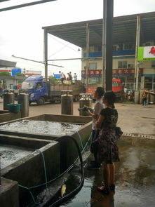 加工所质检中心部级农产品质量安全监测专项工作有序开展