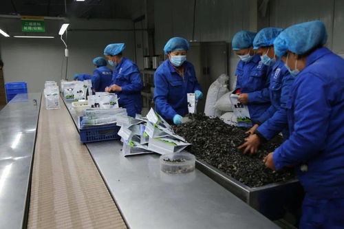 充满希望的土地——全州农牧业产业现场观摩见闻