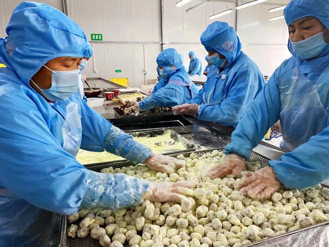 【推动高质量发展调研行】哈密市多措并举，推进农产品加工业提质增效