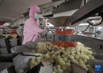 河北遵化 延伸产业链条，以农产品深加工为乡村振兴注入强劲动能