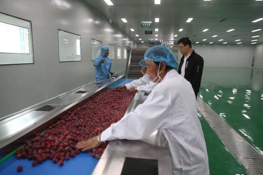 清水河县 以绿色农产品加工产业园为引擎，谱写乡村产业振兴新篇章